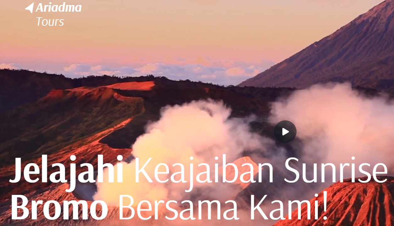 Ariadma Tour & Travels Project Thumbnail